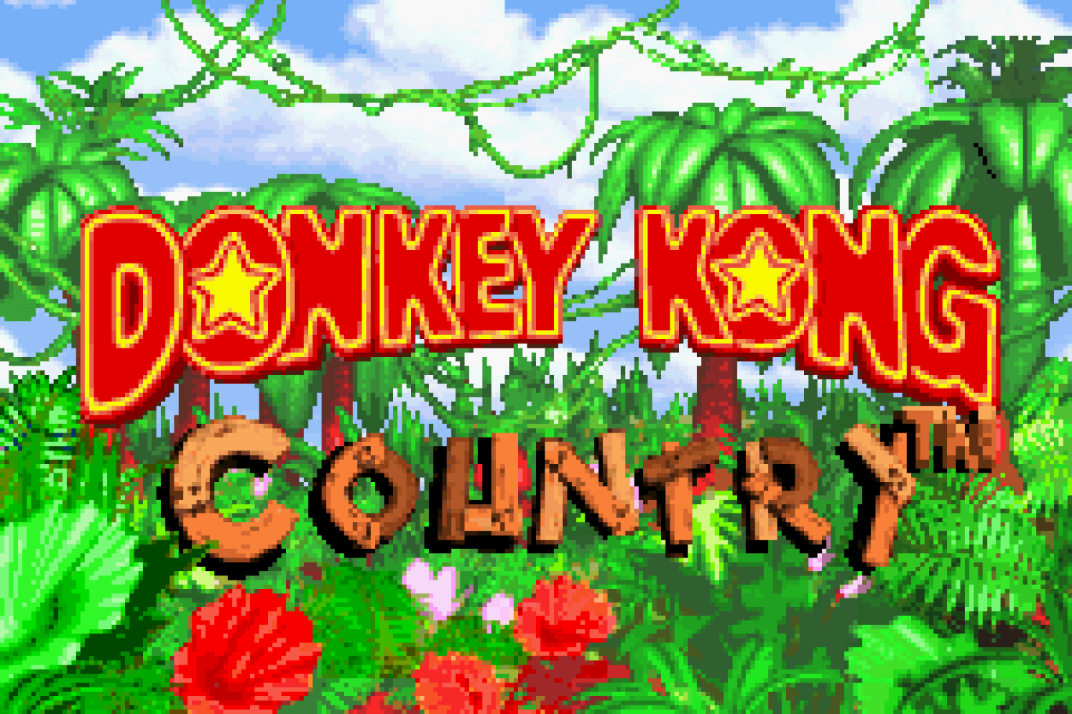 Donkey Kong Country